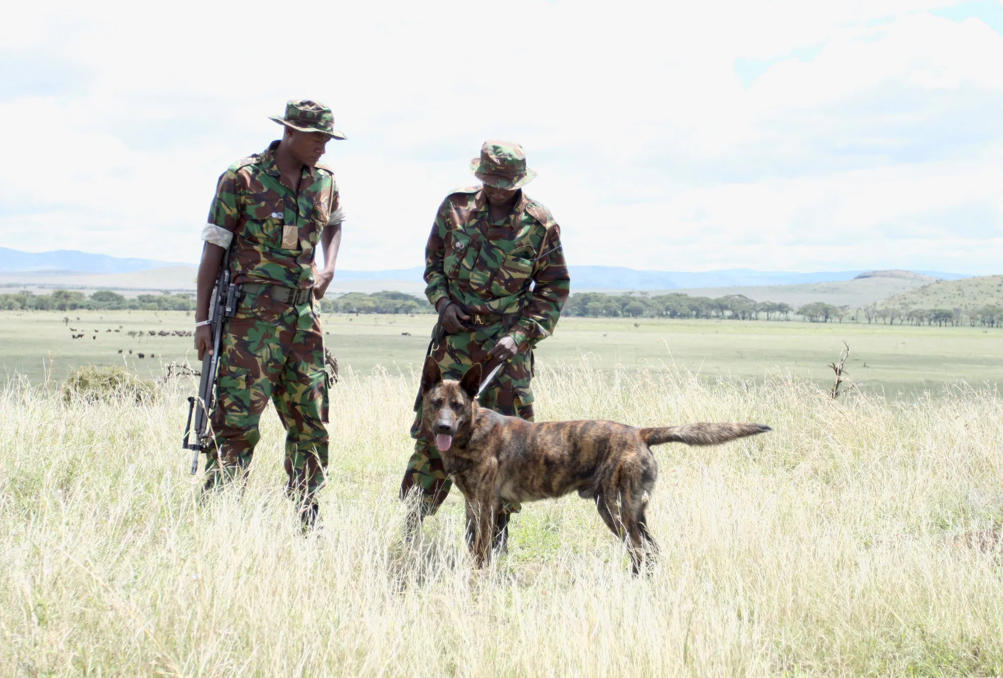 巡护员在非洲草原上 - 四虎tv | 人与自然